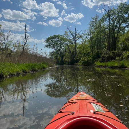Black Birders Week: Evening Kayak Tour
