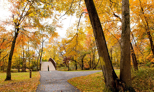 An asphalt path leads through the grass toward an arched, wooden footbridge. There are trees all around, and their leaves have changed to yellow and bright orange. The grass is also covered with a carpet of fallen autumn leaves.