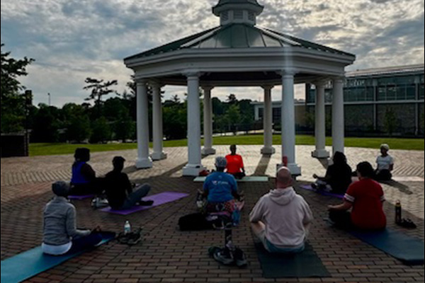 A group of people doing yoga on yoga mats under a shady gazebo