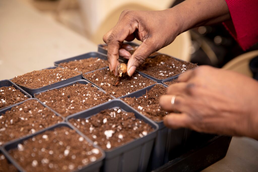 Gardening for All: Mushrooms in Your Garden
