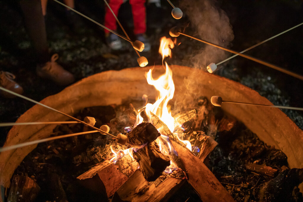 She's Outdoors: Campfire & Night Vision